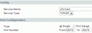 custom_service_config